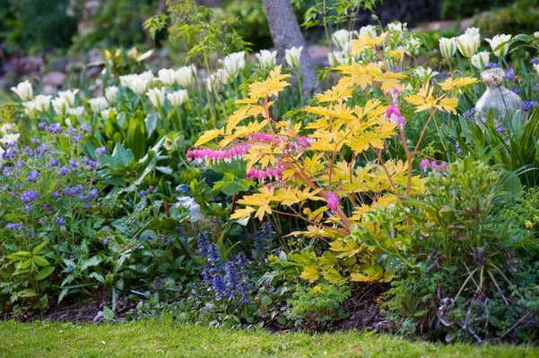 How to layer color and texture in a garden is one of the topics Mr. Culp will address during his Marders lecture. ROB CARDILLO