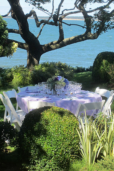 Table setting with the tent caterpillar lightbulbs in the tree behind.  BARBARA GAINES