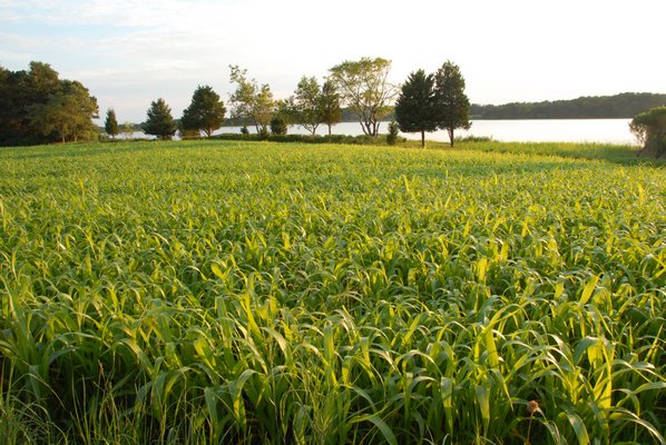 The Port of Missing Men where the Peconic Land Trust's "Through Farms & Fields Country Luncheon" will be held on August 4. RICHARD LEWIN