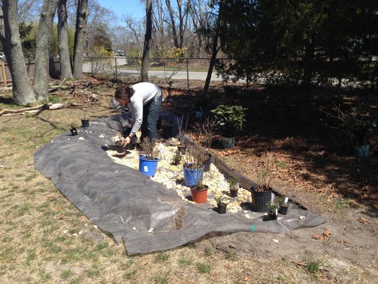 The Miller family rain garden funded through the Friendly Yard Program.