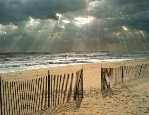 "Sand Dune" by Ken Robbins. KEN ROBBINS