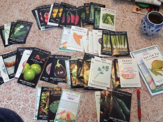 The Ecological Culture Initiative is creating a seed library inside the Hampton Bays Library. COURTESY OF RACHEL STEPHENS