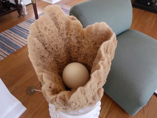A tall piece of sponge cradles an ostrich egg. BRIDGET LEROY