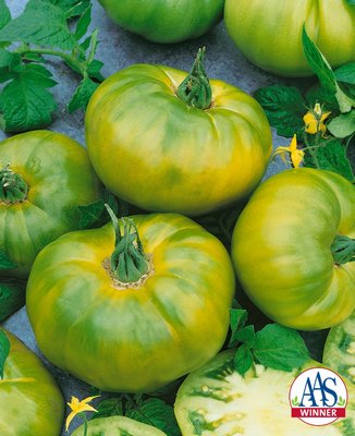 Tomato Chef's Choice Green offers unusual color with a slight citrus flavor but a classic tomato texture. COURTESY AAS