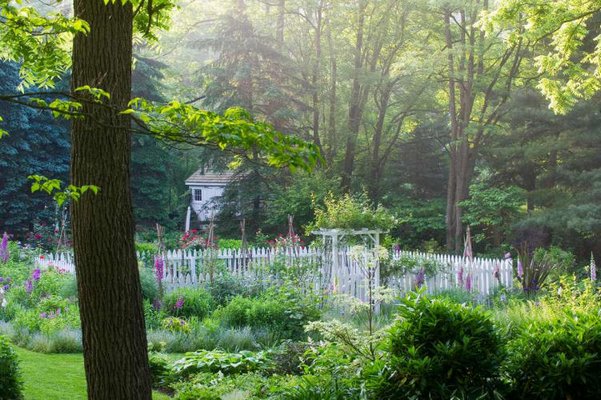 A garden is more than just a place for plants, it provides serenity for David L. Culp. ROB CARDILLO