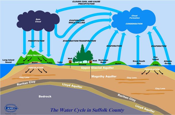 The Water Cycle COURTESY SCWA