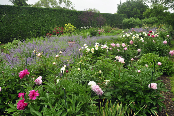 The cutting garden of “Four Fountains,” an estate garden in Southampton that will be featured on the Animal Rescue Fund of the Hamptons' annual tour "A Peek Behind the Hedges" this weekend. MICHELLE TRAURING
