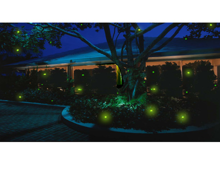 Firefly Magic lights recreat the look of fireflies in your backyard or garden.     PHOTO COURTESY OF FIREFLYNEWS.COM