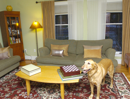 Family room and Casey, the family’s beloved dog, a yellow Labrador/golden retriever mix.   DANA SHAW