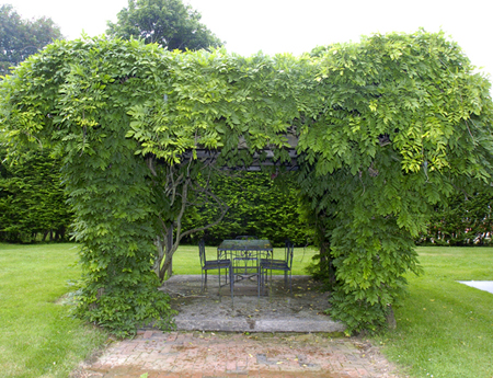 This wisteria-covered arbor complements the old-fashioned charm of the lush landscape and provides a great place to sit.