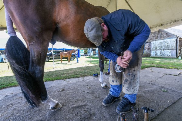 A farrier removes a shoe from a competitor.