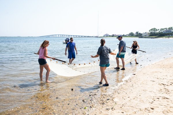 Christine Santora, Stony Brook University School of Marine and Atmosphere Sciences,  shows teachers how to seine fish from the beach.