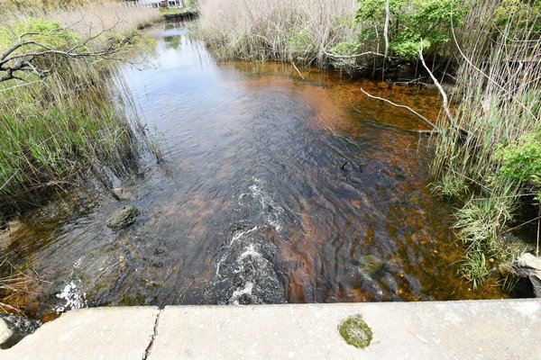 The Alewife Creek culvert in North Sea.  PRESS FILE