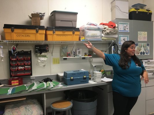 Maxine Montello shows the crash kits for all animals treated by NYMRC and the taging kits for the sea turtles that will be released on August 9.