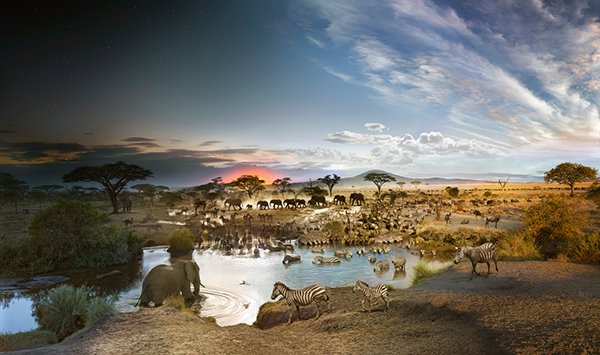 ©Stephen Wilkes, Serengeti National Park, Tanzania, Day to Night 2015 at Tulla Booth Gallery.