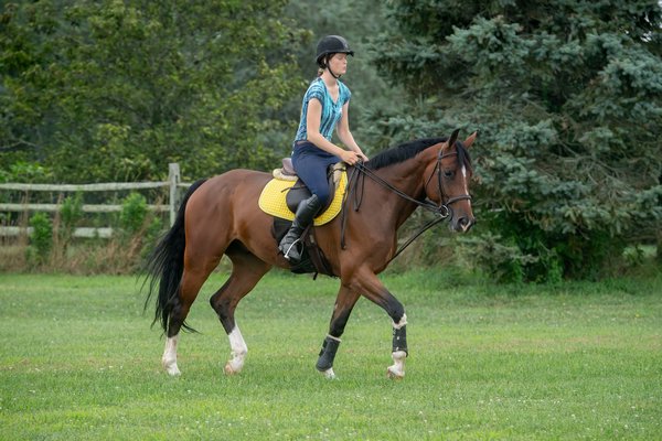 Phoebe Topping trains for competition at the Hampton Classic with her mount John Courage at the Swan Creek Farm Stables.