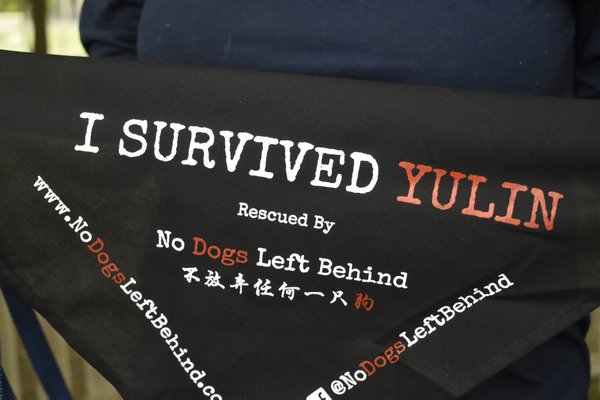 No Dogs Left Behind sent the Southampton Town Animal Shelter bandanas, which read: 