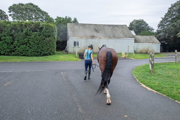 Phoebe Topping walks her mount John Courage back to the stable after training.