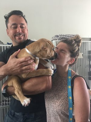 Marcello and Jennie Ciminelli adopted Monte Carlo, originally named Angus, from the Bideawee pop-up adoption center in Westhampton Beach this summer. COURTESY BIDEAWEE