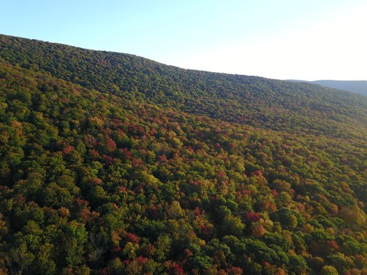 A drone’s eye view 300 feet over the Shandaken Wild Forest in the Catskill Forest Preserve shows the spotty nature of fall colors in late September. ANDREW MESSINGER