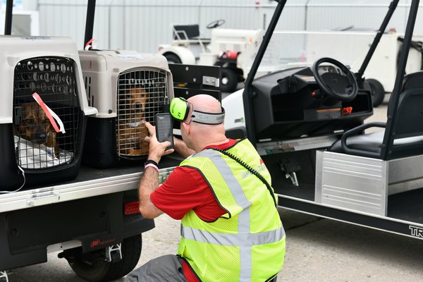 Chad Johnson, a supervisor for Sheltair, greets one of the dogs from the Bahamas.