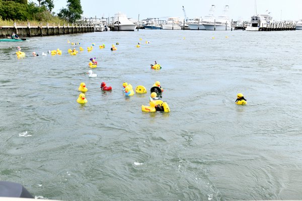 Ducks in the water at the annual Hampton Bays Civic Association duck race.