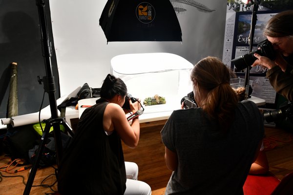 Photographers got a chance to get up close and personal with visiting animals from the Quogue Wildlife Refuge on Monday during an event with the International Center of Photography at the Southampton Arts Center as part of the arts center's current Photo Ark exhibit. Photographers are photographing a Leopard gecko Photo Ark style. The National Geographic Photo Ark by Joel Sartore exhibition will run through September 8, at the Southampton Arts Center.        DANA SHAW