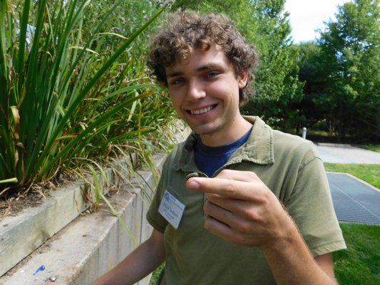 Miles Todaro, an educator at the South Fork Natural History Museum, holding a monarch caterpillar outside of SOFO.   ELIZABETH VESPE