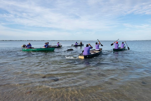 Contestants make their way from shore at the start of the Mishoon Race at Cuffee's Beach as part of the 2019 Shinnecock Pow Wow on Sunday morning. MICHAEL HELLER