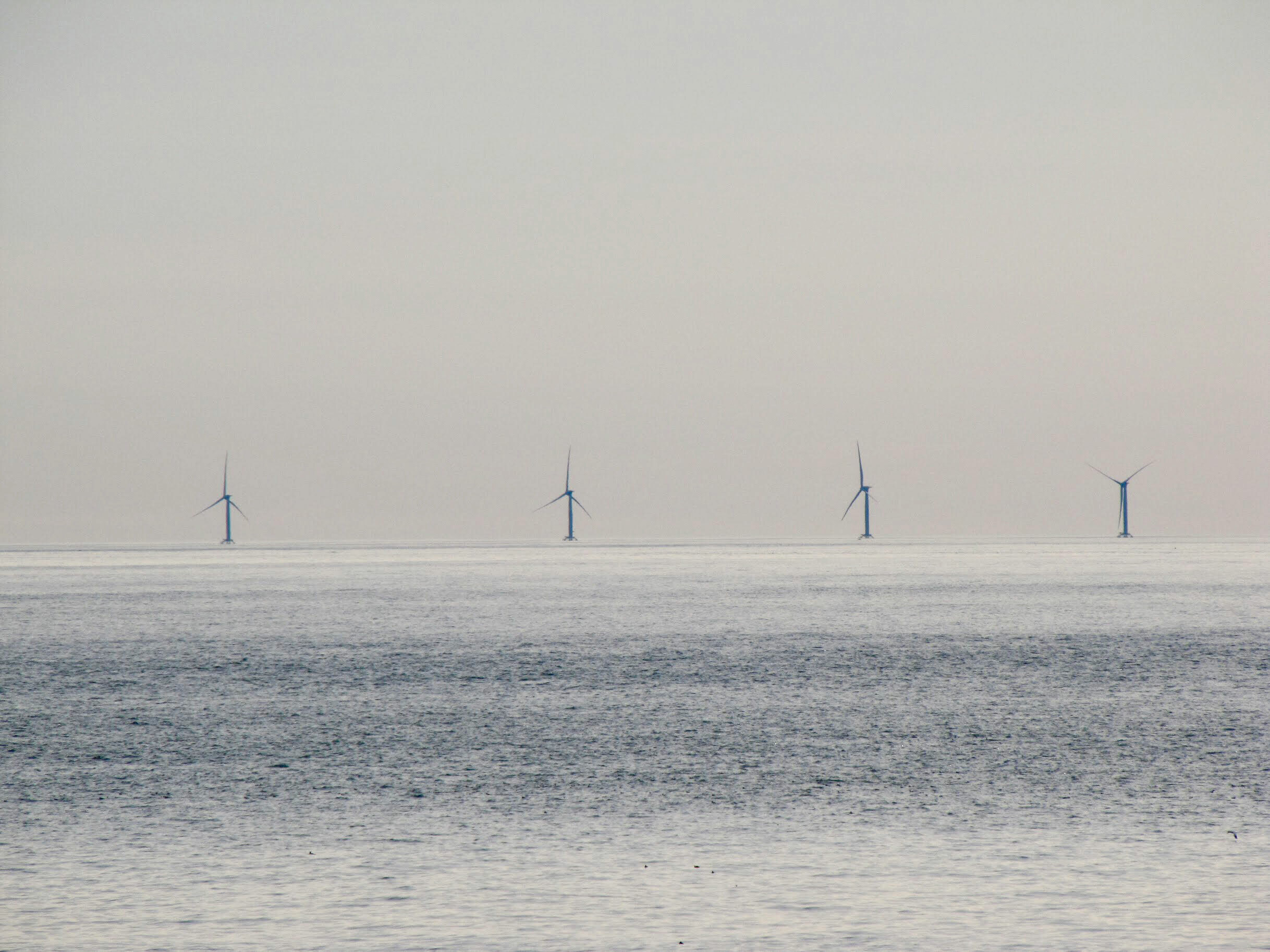 The Block Island Wind Farm as seen from Montauk. Michael Wright. Michael Wright