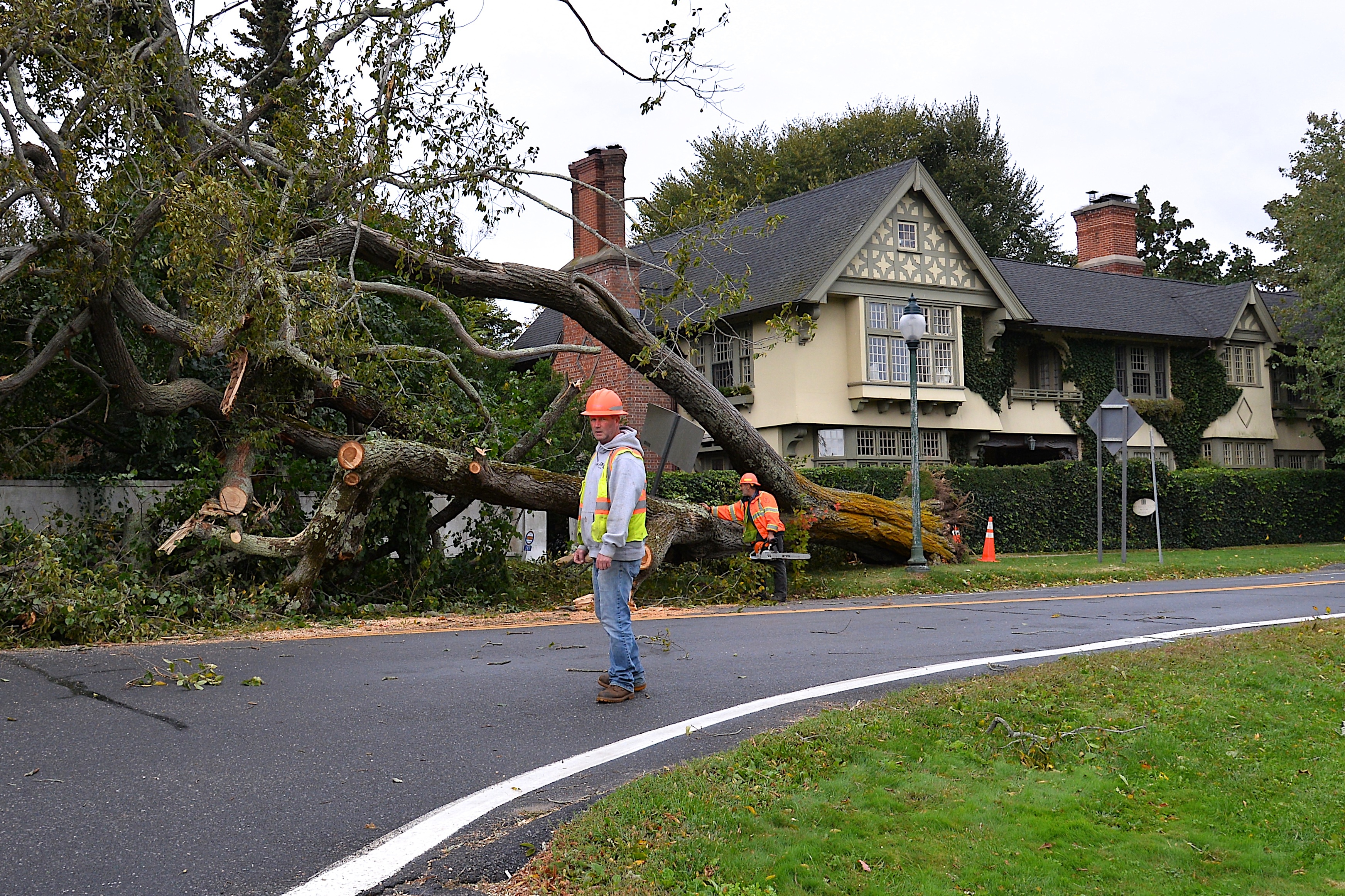 A large tree blew down at around 10 a.m. on Thursday on Main Street in East Hampton Village. A section of Main Street near Baker House 1650 was closed to traffic while New York State Department of Transportation crews worked in the rain and wind to cut up and remove the tree.  KYRIL BROMLEY