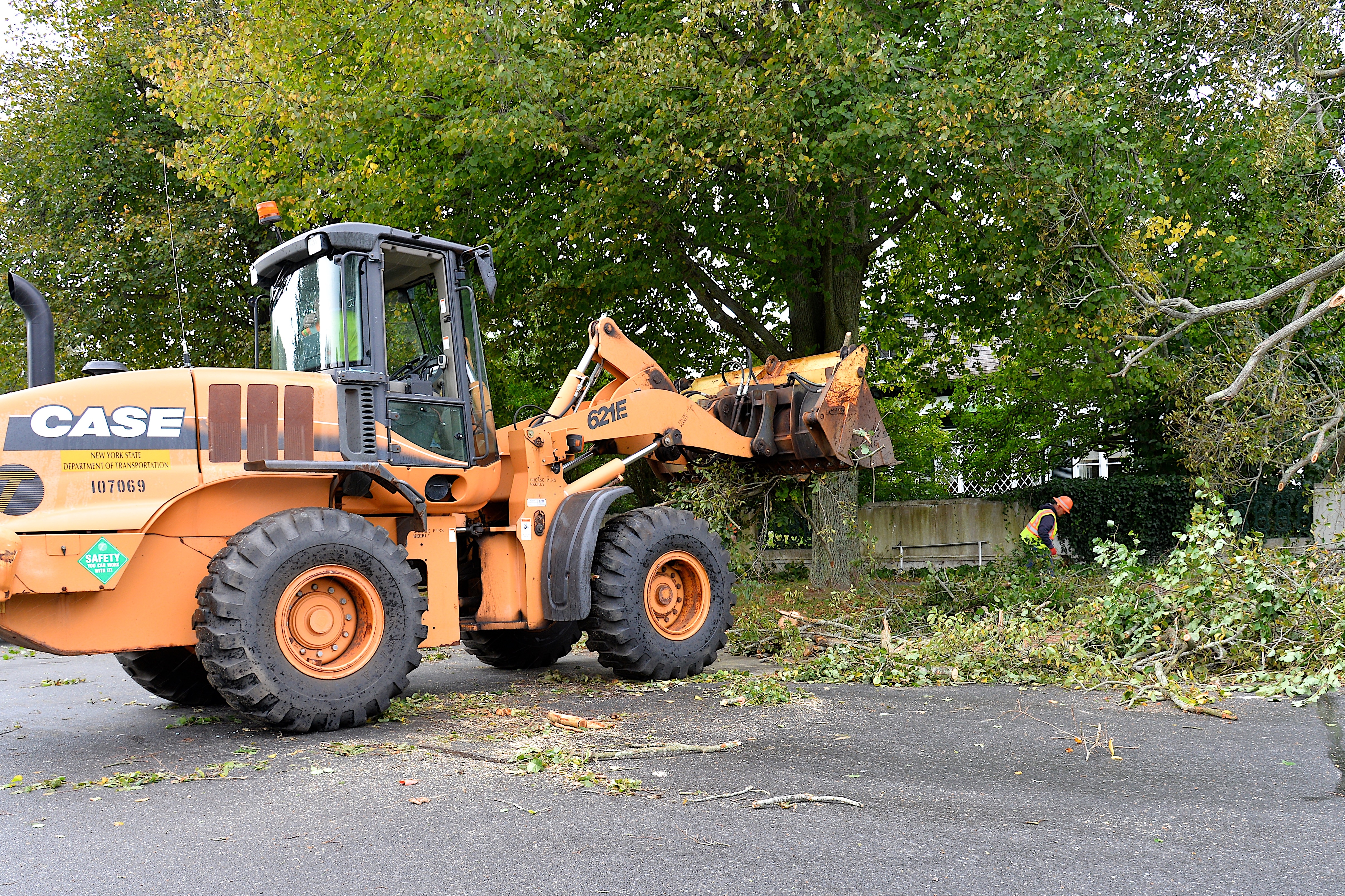 Crews were removing the tree on Thursday morning.  KYRIL BROMLEY