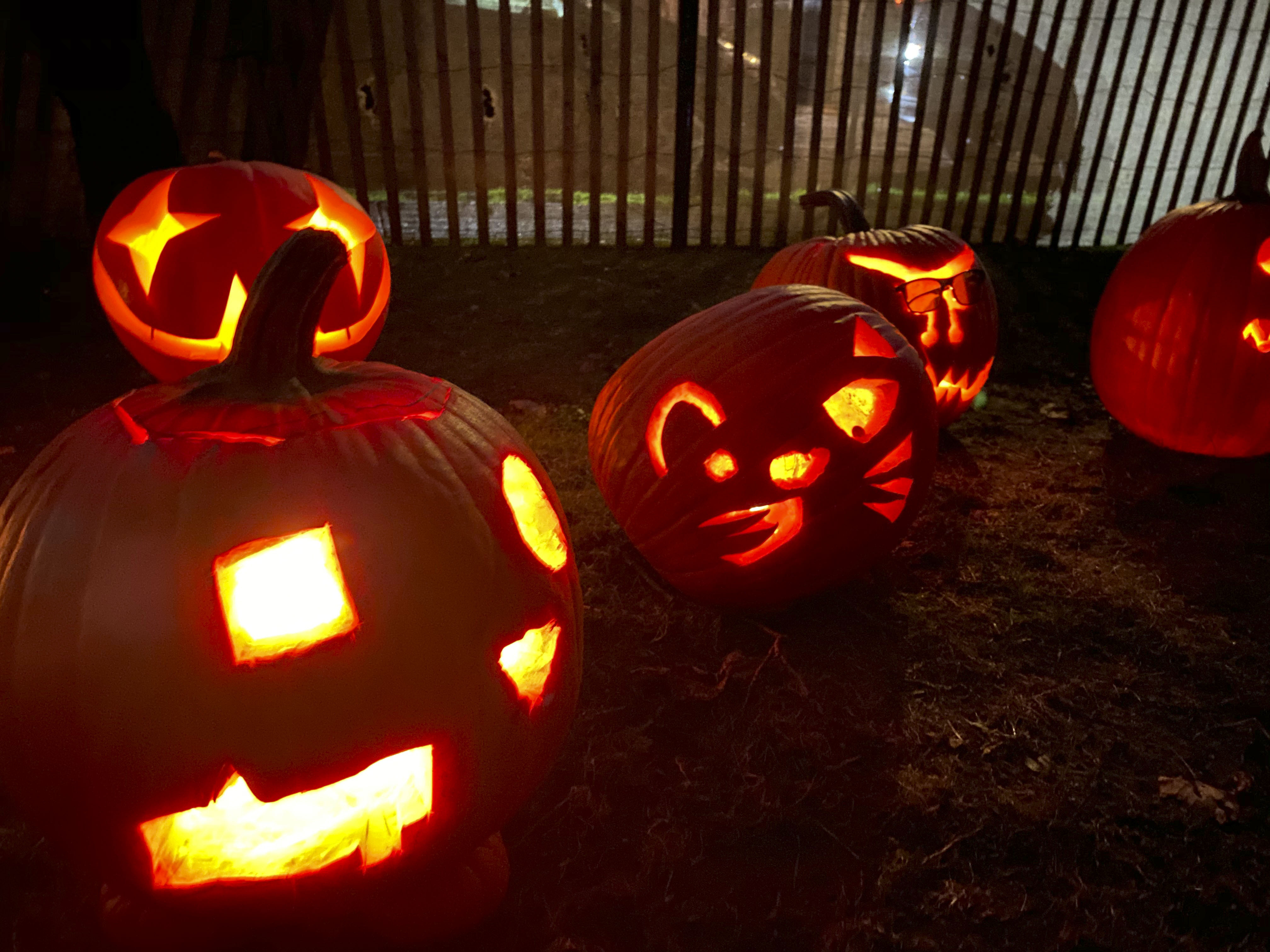 Entries in the Bridgehampton Lions Club carving contest on Monday night.