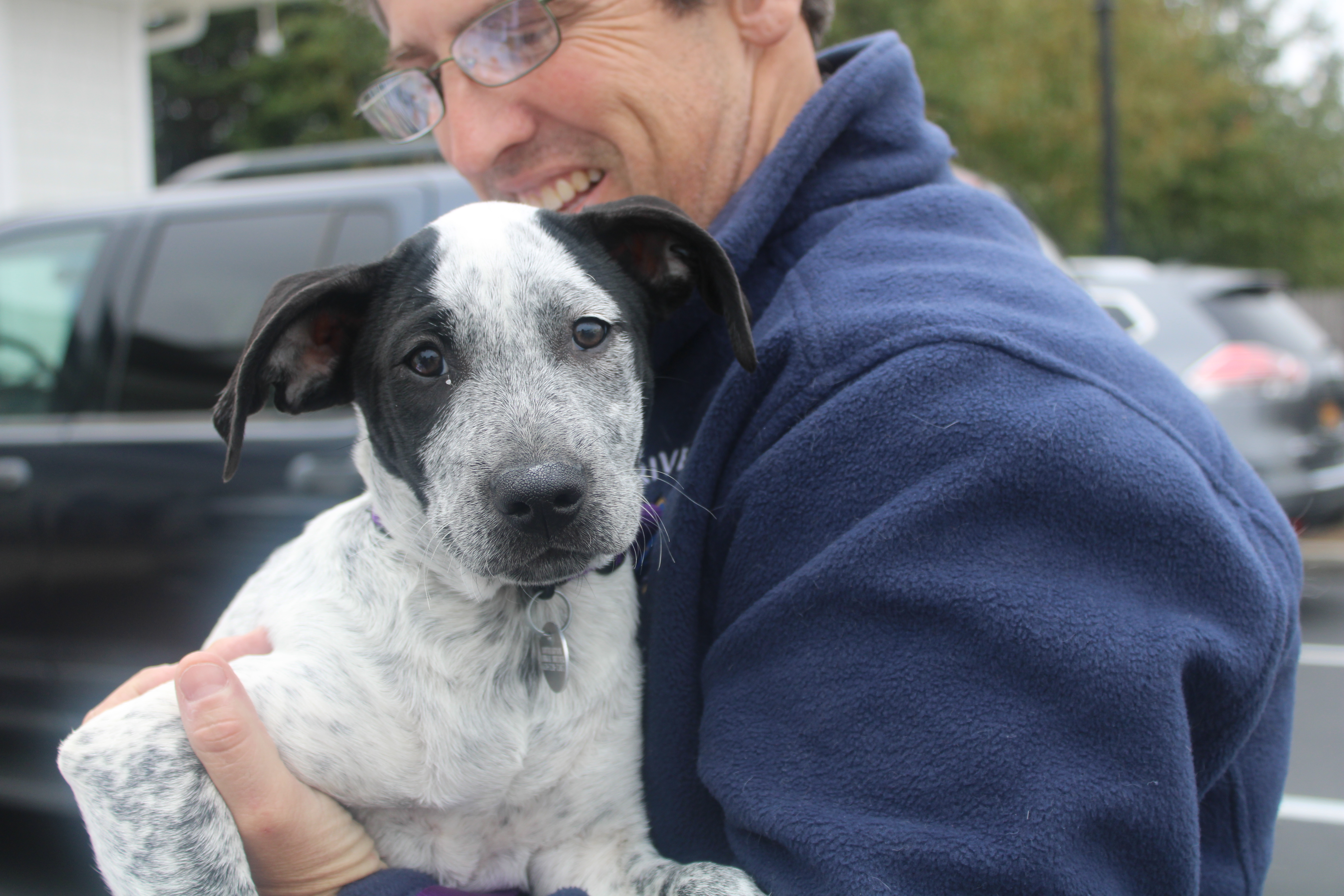 Baylee the twelve-week-old Austrailian Cattle Dog mix and SASF volunteer Derek Gerson.