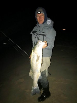 Lou Gisone found some schoolie stripers in the local surf at night.  Stephen Lobosco