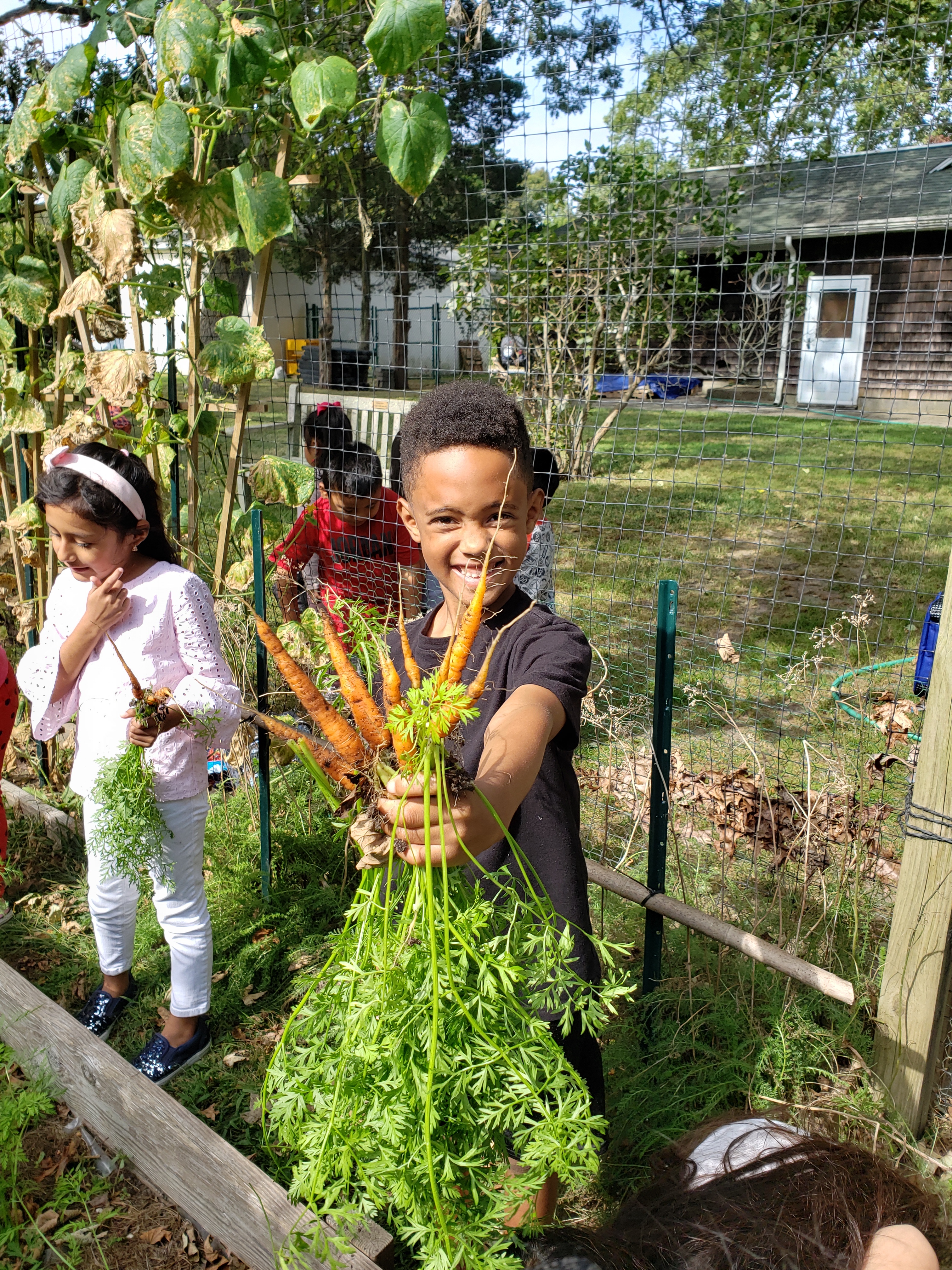 In early October, Tuckahoe School’s second-graders  helped harvest carrots from the school's garden. 