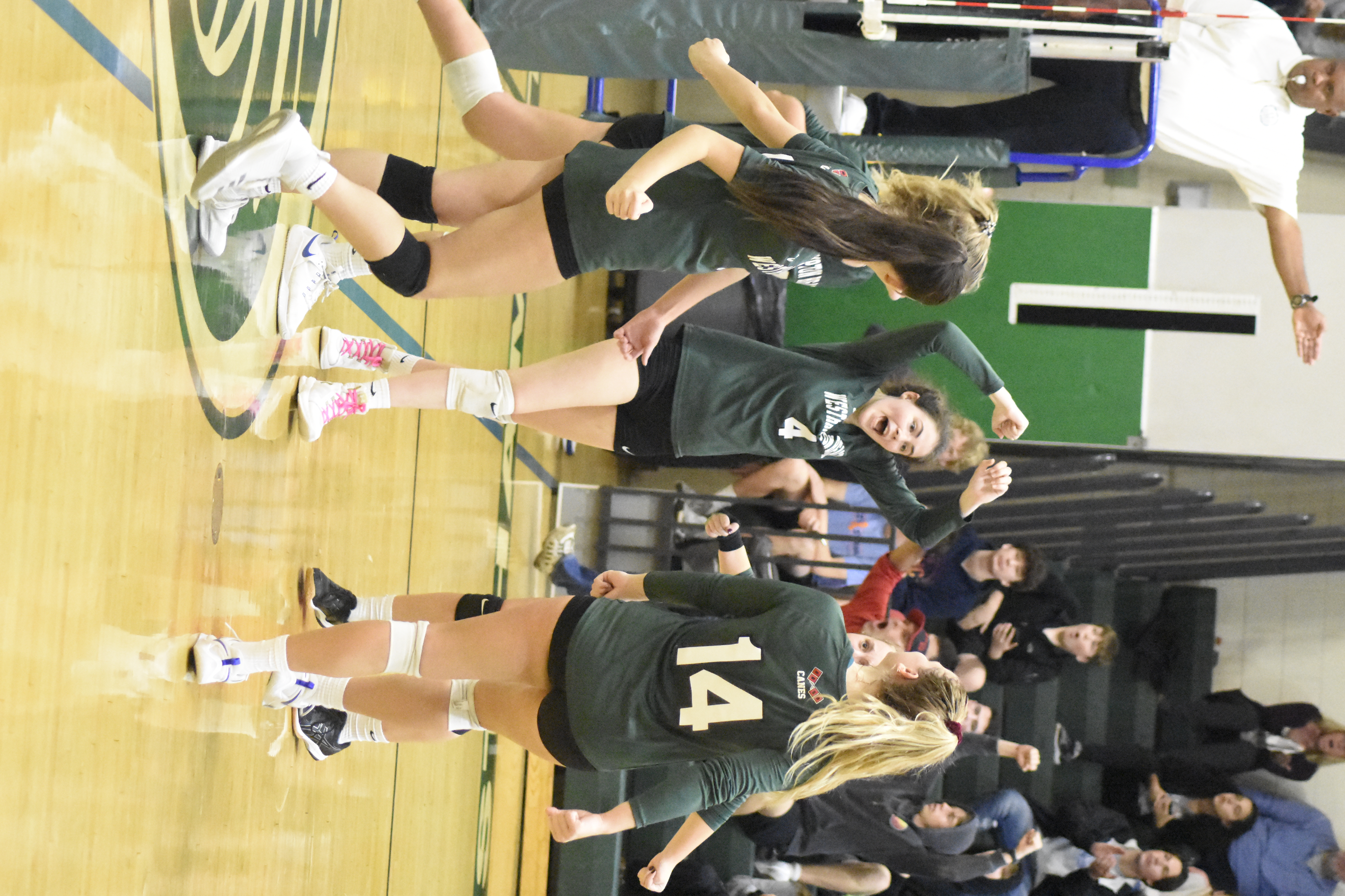 The Lady 'Canes celebrate a point.