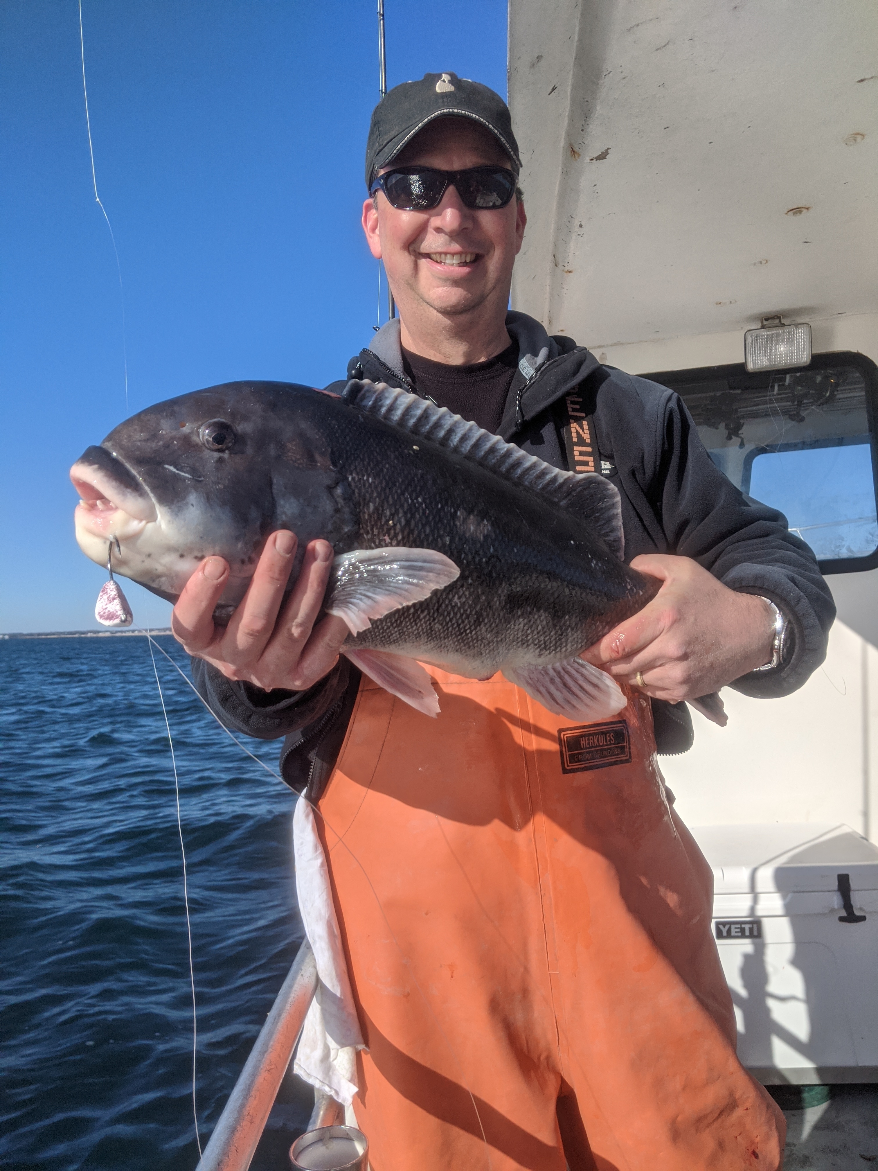 The blackfish bite has been excellent this year and Chuck Landenheim and friends filled their coolers with nice specimens like this aboard the Montauk charter boat Double D on a nice day this past week. 