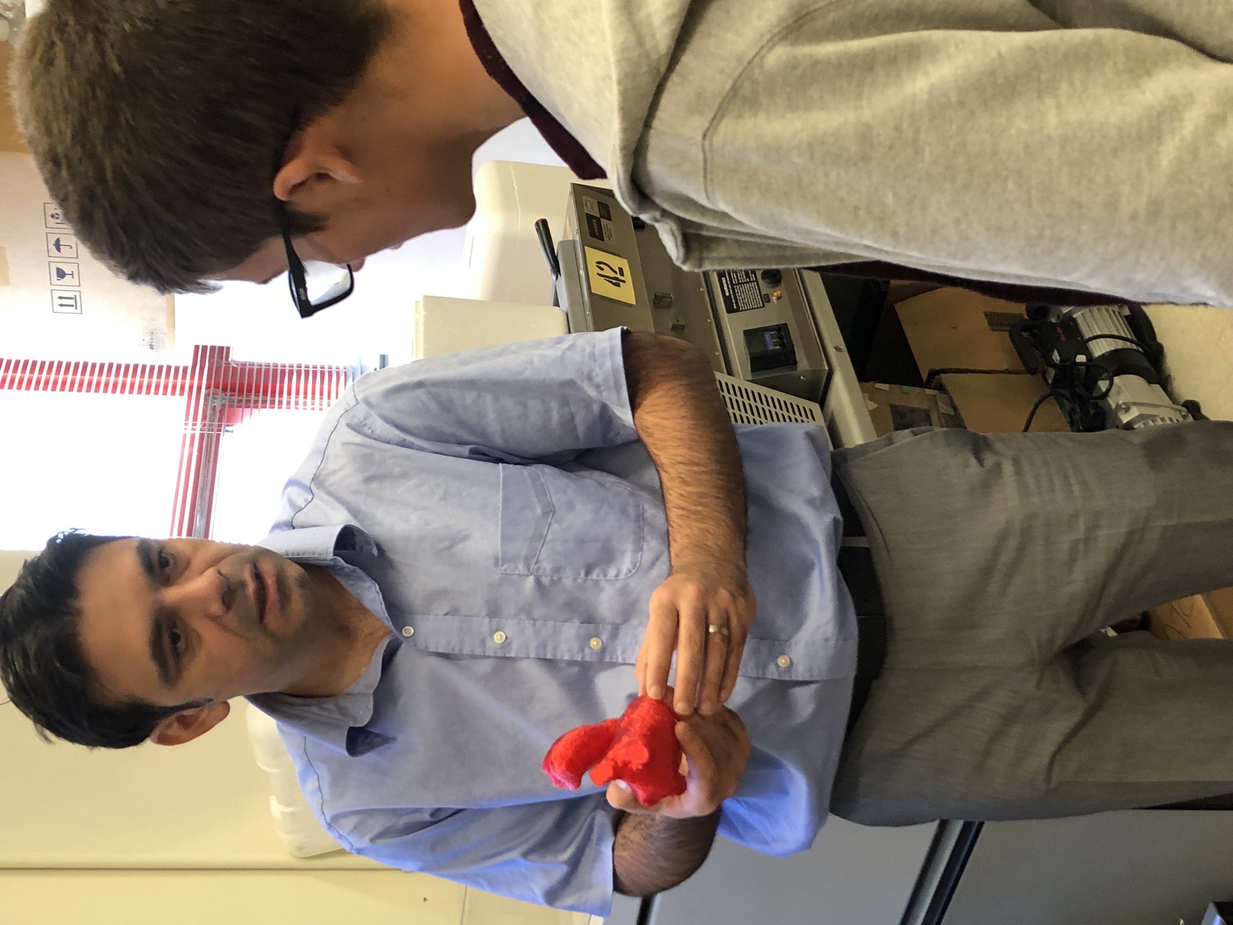 David Catena and Dr. Murat Guvendiren in the lab at NJIT. 