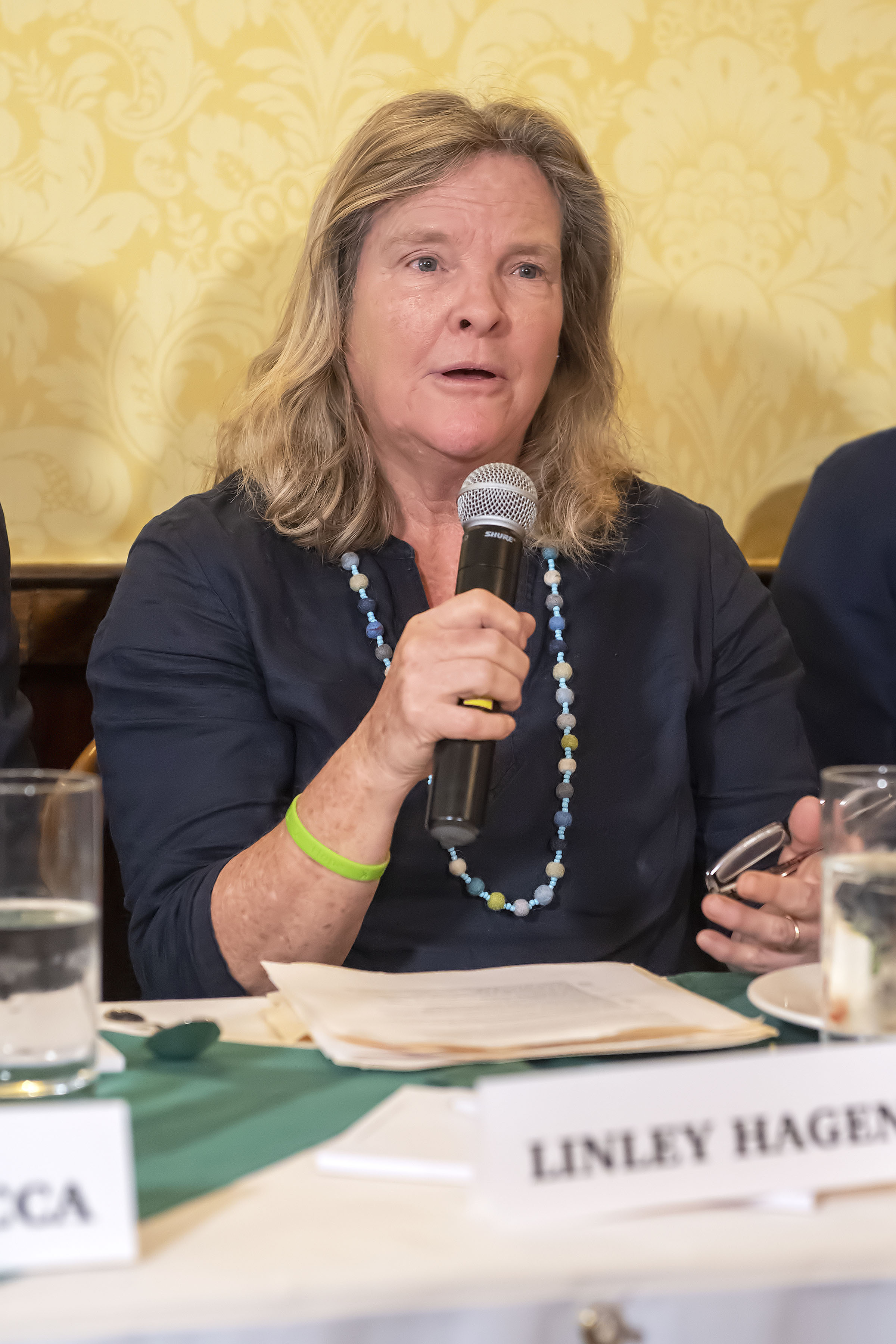 Panelist Linley Hagen speaks during the Express Sessions - Sag Harbor Public Spaces event at the American Hotel in Sag Harbor on Friday.   MICHAEL HELLER