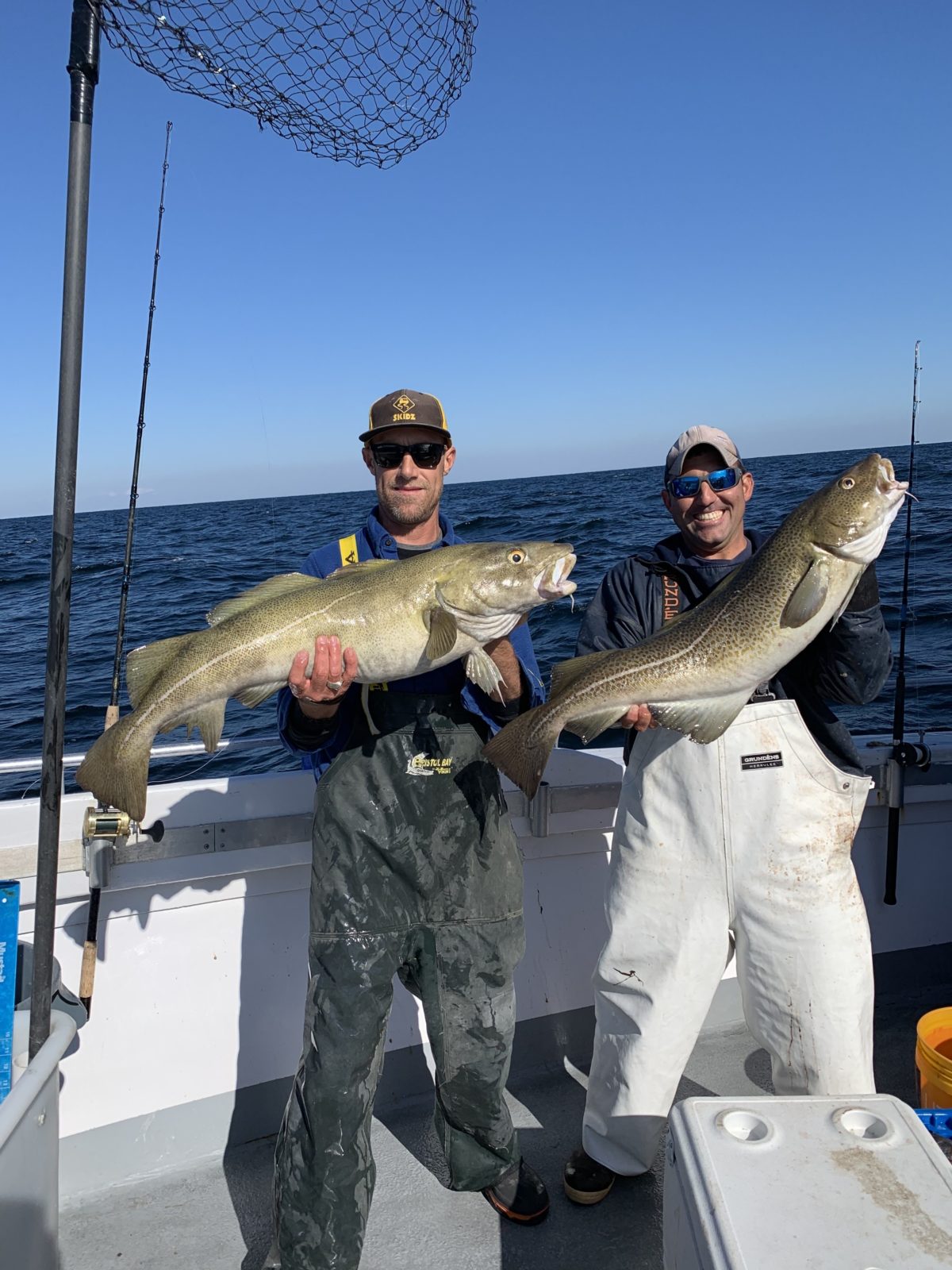 Leif Neubauer and Mark DeCabia pulled a couple of nice codfish off the wrecks south of Hampton Bays while fishing aboard the Hampton Lady last week. 
