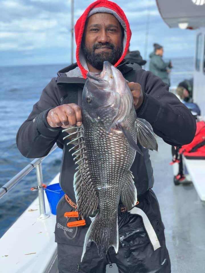 Andy Moonasser shows off a perfect specimen black sea bass caught aboard the Hampton Lady out of Hampton Bays last week. 