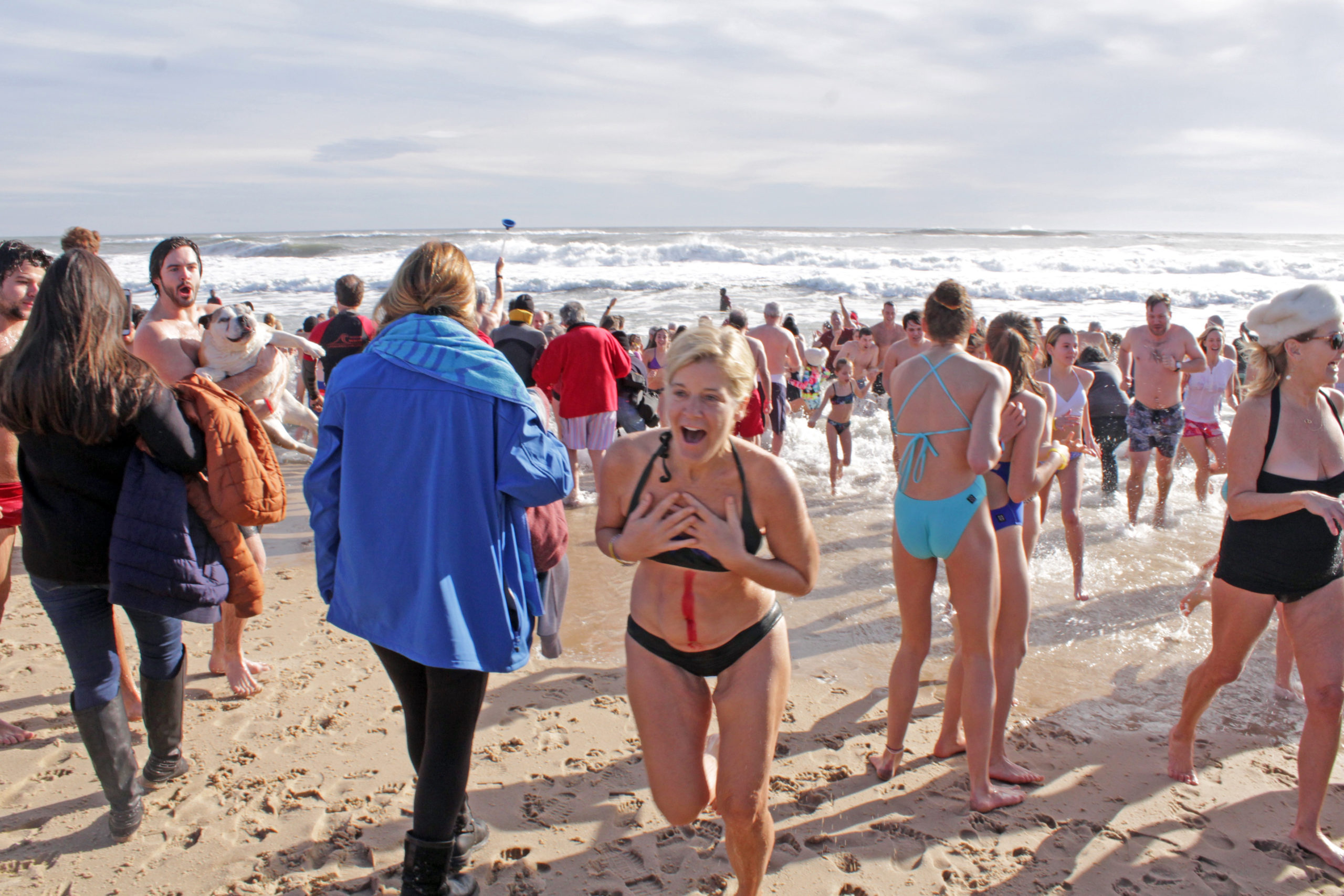 The 2019 polar bear plunge to benefit the East Hampton Food Pantry.       PRESS FILE