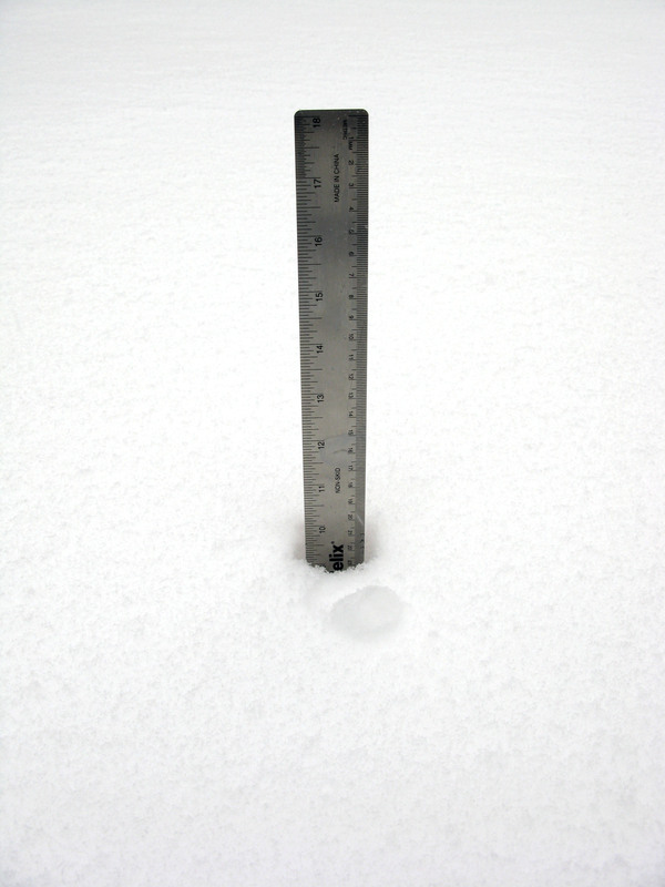 Almost 10 inches in North Sea as of Wednesday monring.  ALEA  HARKAWIK