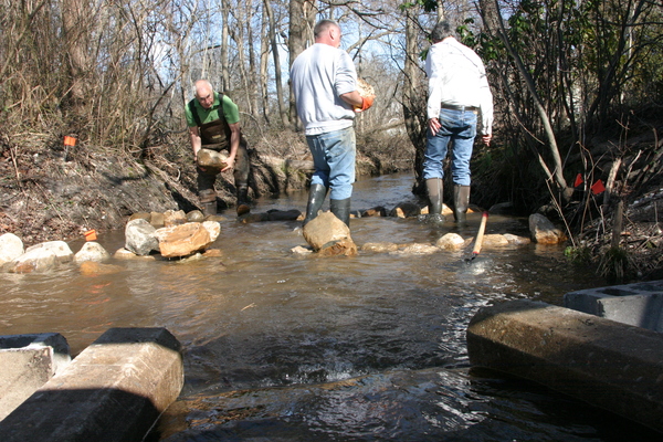  causing it to back up enough to create two pools of water near the culvert. DANA SHAW
