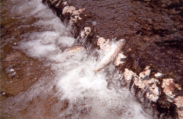 Narrowing the culvert neck with concrete slabs also helped deepen the water flowing over through it. DANA SHAW
