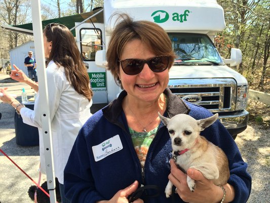 Animal Rescue Fund of the Hamptons celebrated its 40th Anniversary on Saturday. LAURA WEIR