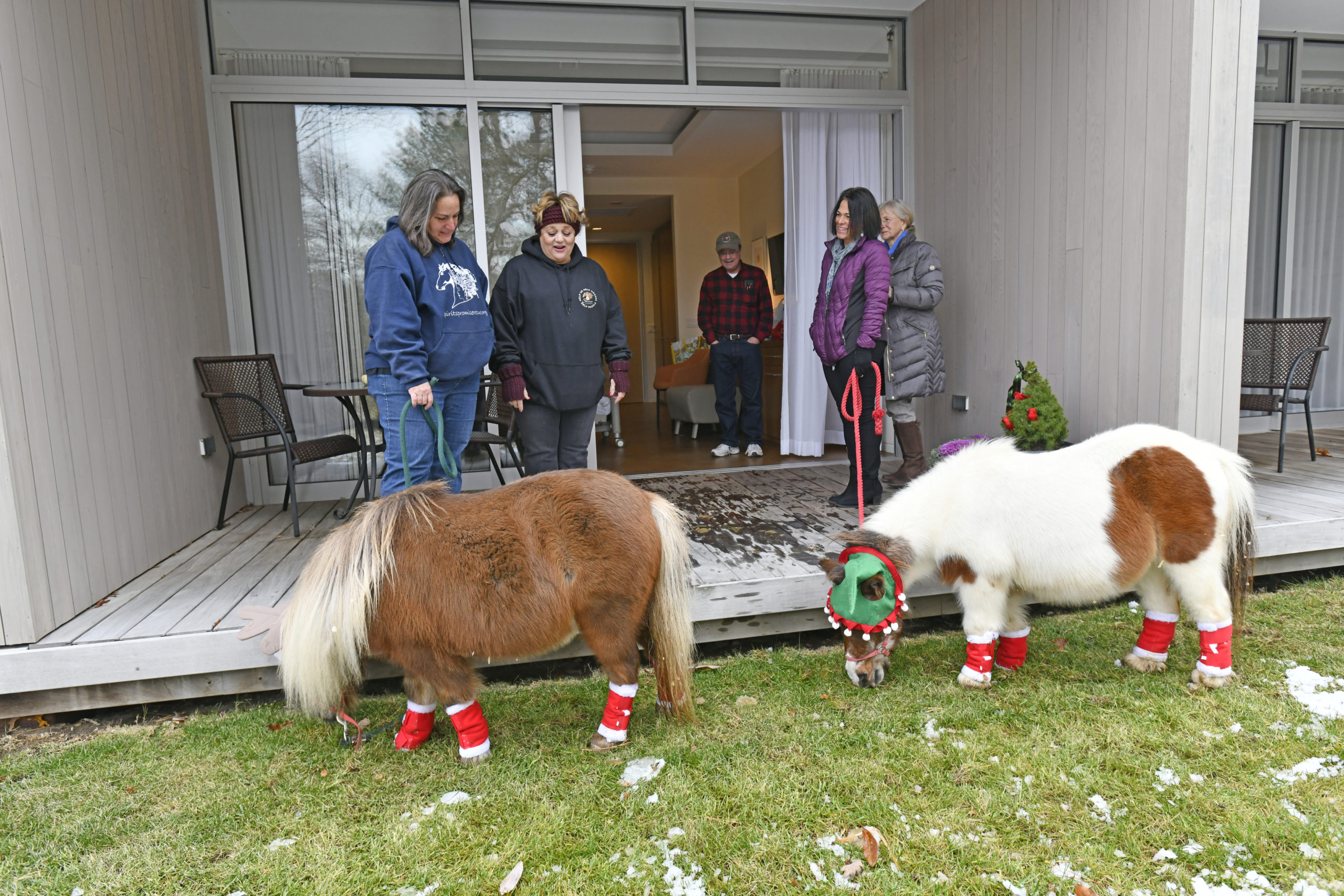 Mini horses Sweetie and Christmas from Spirit’s Promise Equine Rescue and Rehabilitation Program in Riverhead paid a visit to Daniel Byrne at the East End Hospice Kanas Center for Hospice Care in Westhampton Beach last week.     DANA SHAW