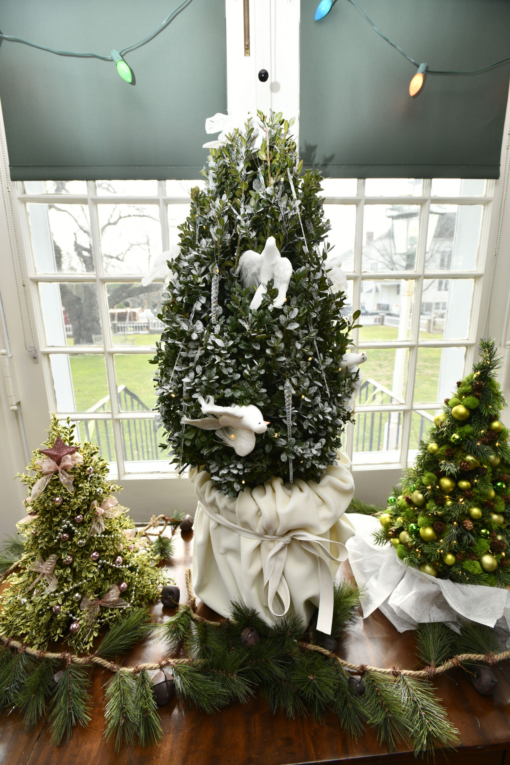 Designer trees at the Rogers Mansion.  DANA SHAW