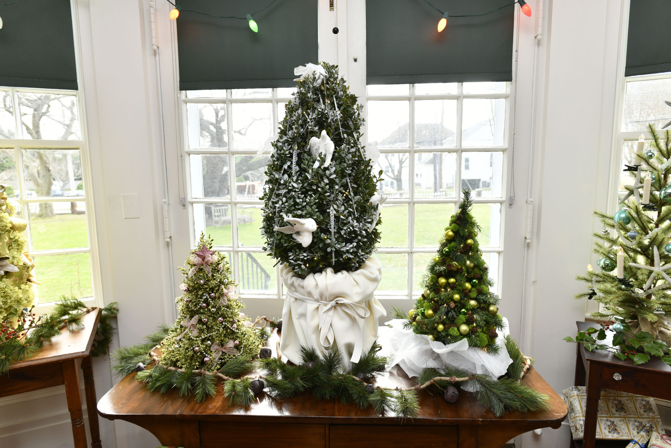 Designer trees at the Rogers Mansion.  DANA SHAW